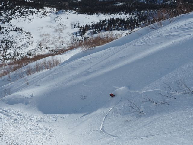 広大なフィールドへドロップイン。_hakuba OP