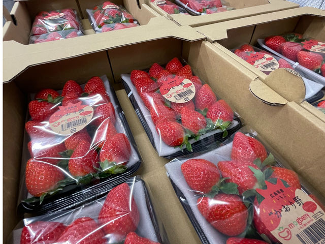 mogberry(モグベリー)