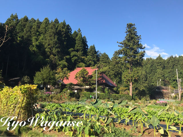 畑と古民家_香和顔施(きょうわがんせ)