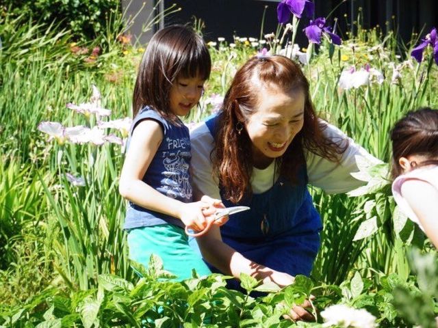 種から育てた藍の生葉_香和顔施(きょうわがんせ)