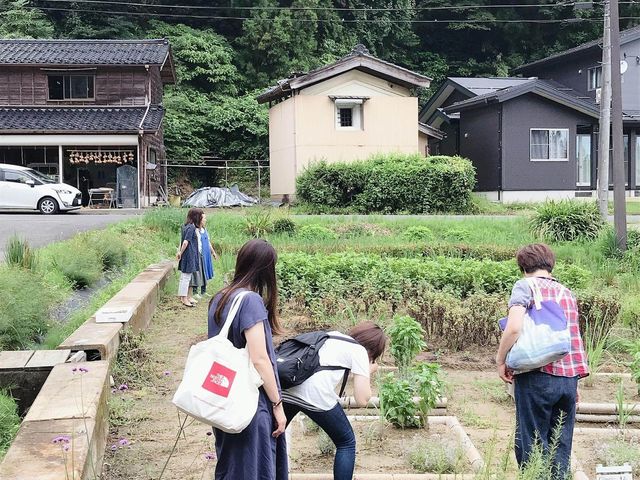 畑散策(^^♪
_香和顔施(きょうわがんせ)