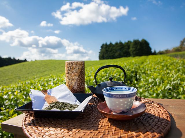 室町時代から受け継がれてきたといわれる美作番茶。生産者が減少する中、 全国的にも珍しいこの伝統製法を海田園黒坂製茶は今も受け継いでいます。_海田園黒坂製茶
