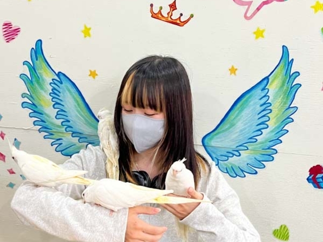 ウイングの映えスポットで、鳥さんと一緒に撮ってみませんか?><
少し明るめに撮るのがポイントです。_MIRAI-UP Bird+