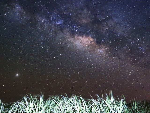 天の川とサトウキビ畑_美ら星アイランド