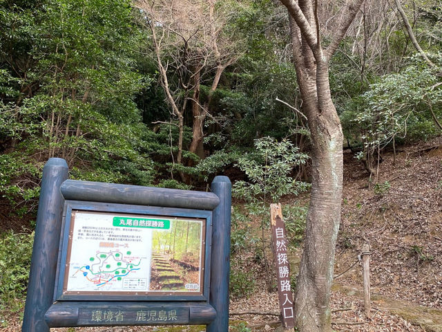 丸尾自然探勝路(森林セラピーロード)