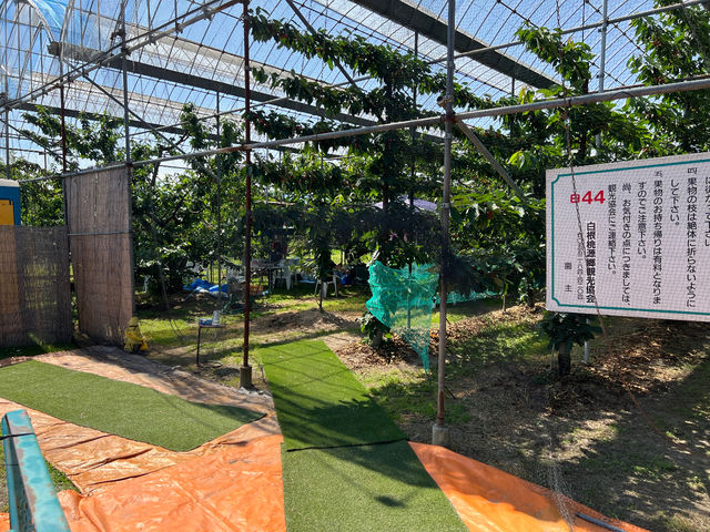 園の入り口_やまきた園