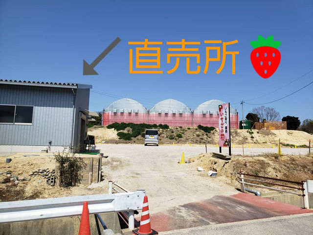 駐車場へ入っていただき、左手のグレーの建物で《直売》《いちご狩り 受付》をしています。_いちごの花