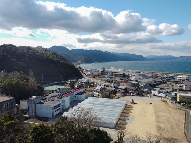 TODAベリーファーム
