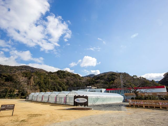 TODAベリーファーム