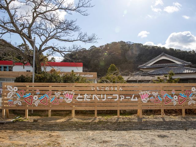 TODAベリーファーム