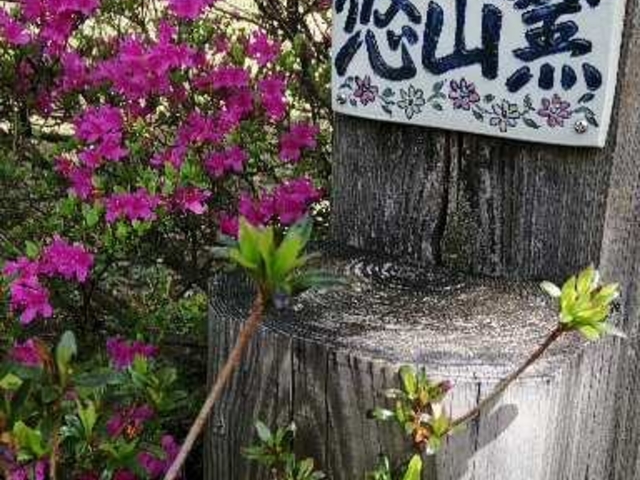 ここを入って陶房へと向かってください_悠山窯「高ボッチ陶芸倶楽部」