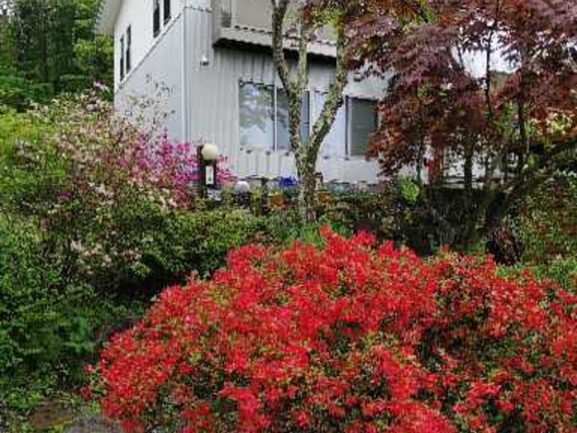 駐車場から陶房へ_悠山窯「高ボッチ陶芸倶楽部」