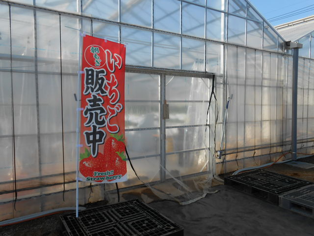 いちごさんぽ園