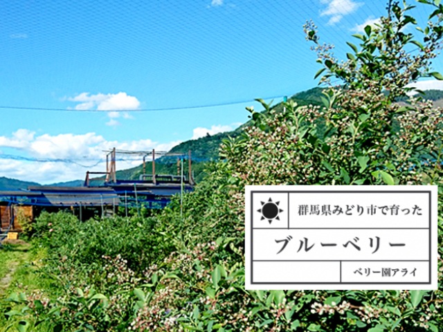 ベリー園アライ