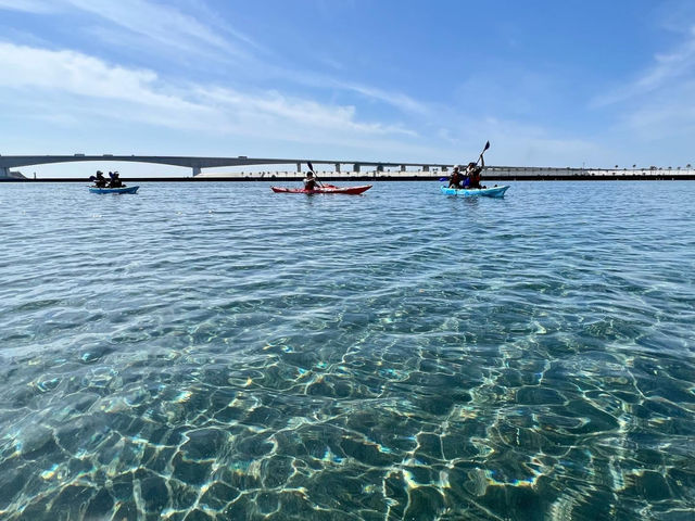 浜名湖で一番の透明度!_浜名湖パドル