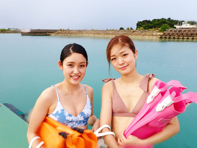 可愛い綺麗な器材_ハイビスカス