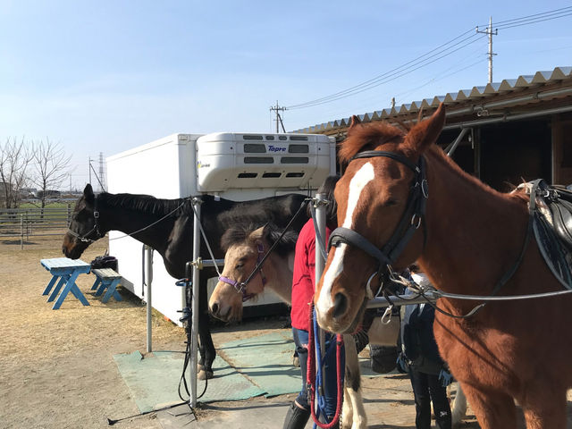 乗馬クラブアトラス