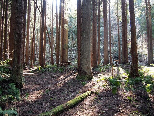 都合山たたら跡の写真1