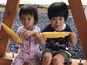 ひのでファームの写真2