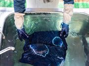 藍屋テロワールの写真2