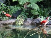 カワスイ 川崎水族館の写真4