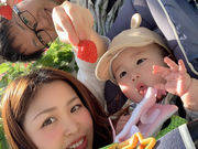 いちごファーム ふじむらの写真3