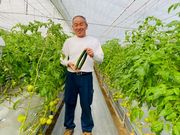 川崎日出夫農園の写真3