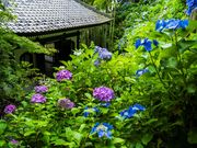 感動写真体験会の写真2