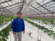 幡山農園の写真3