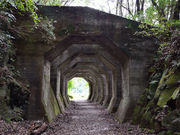 熊延鉄道 八角トンネルの写真1