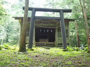 御鷹の森の写真2