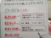 みつばちBunBun クロスケの大原野げんき畑の写真4