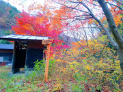 雨乞いの滝(白沢滝)の写真3