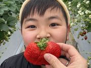 いちごガーデンたはらの写真3