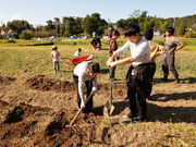 FARM BBQ morinomoriの写真2