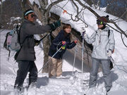 森のペンション つつみ・すくえあの写真2