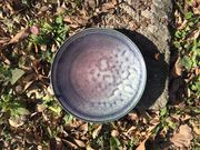 陶芸工房 風韻窯の写真4