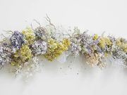 Nana flowerの写真3