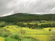 吉延展望台の写真3