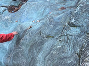 本山町汗見川の枕状溶岩(県指定天然記念物)の写真3