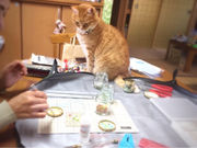 miriamの写真3