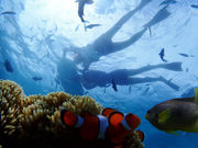 沖縄マリンスタジオの写真2