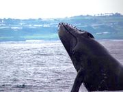 株式会社SEASIDE ENGINEERの写真3