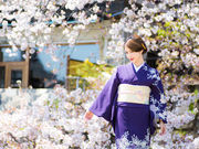 smile photo officeの写真3