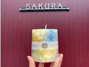 SAKURAの写真3