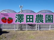 澤田農園の写真3
