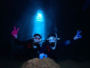 ハイビスカスの写真2