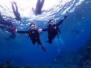 ハイビスカスの写真3