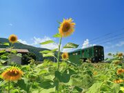 若桜鉄道の写真2