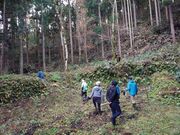 都合山たたら跡の写真2